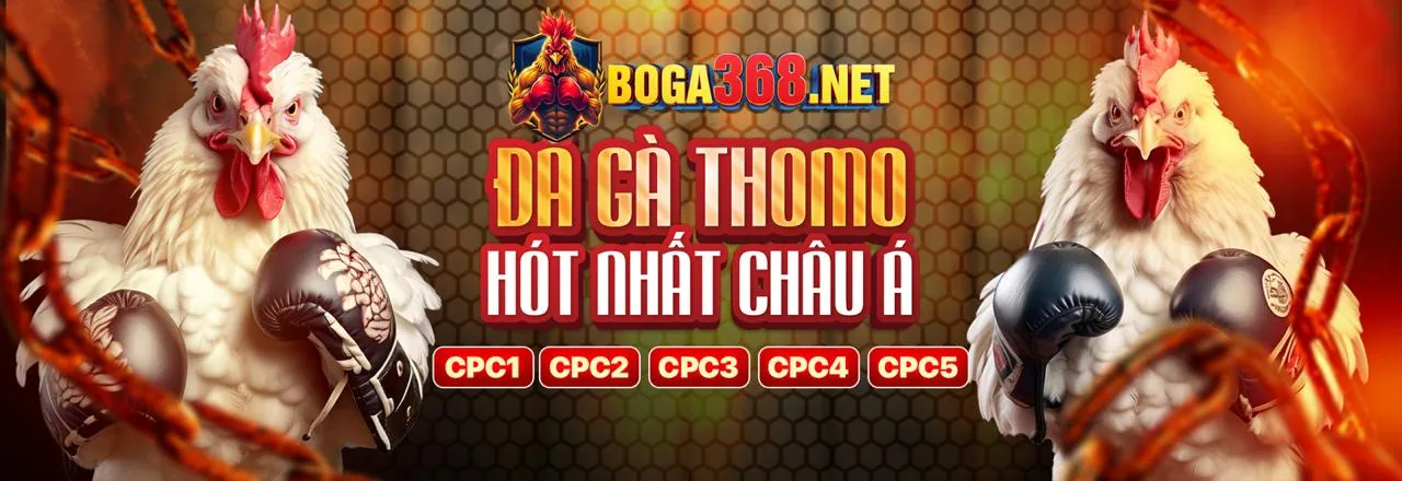Đá gà trực tuyến sôi động tại momo88 game