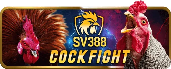 Hướng dẫn chơi Baccarat momo88 game