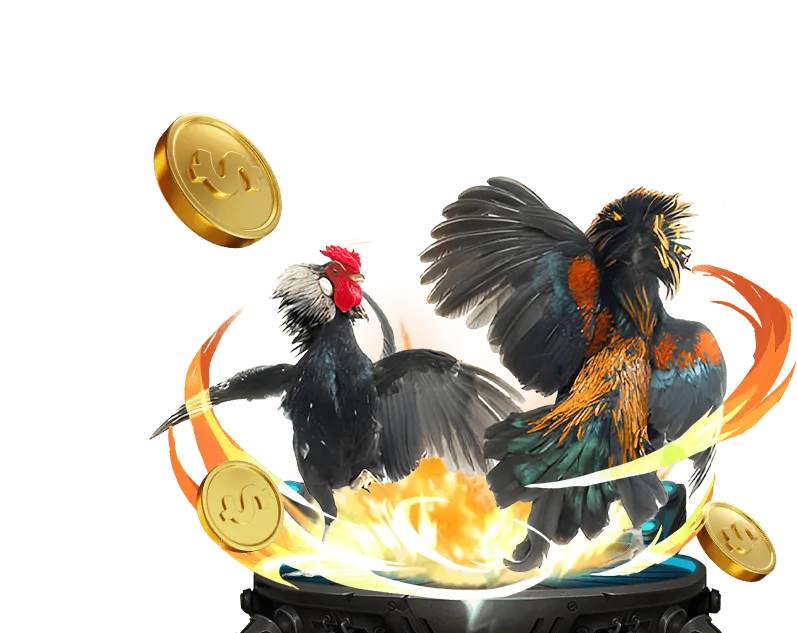 Giao diện đặt cược đá gà momo88 game