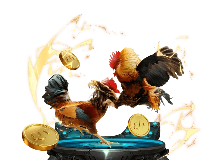 Đội ngũ hỗ trợ khách hàng chuyên nghiệp của momo88 game